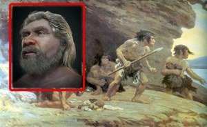They didn't look like monkeys, but...us.  This is what Neanderthals really looked like