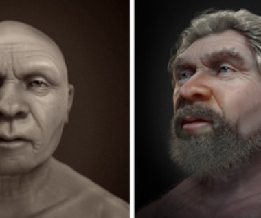 Nie przypominali małp, ale... nas. Tak naprawdę wyglądali neandertalczycy