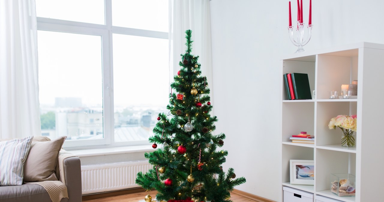 Nie stawiaj choinki zbyt blisko kaloryfera, bo szybko zmarnieje /123RF/PICSEL