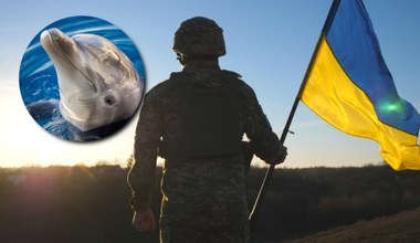 Nie tylko delfiny. Ukraina zbiera dowody na rosyjskie ekobójstwo