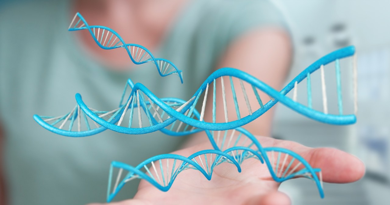 Nie tylko DNA i RNA przenoszą informację genetyczną? /123RF/PICSEL