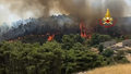 Nie tylko Etna. Włoscy strażacy walczą z pożarami na terenie Sycylii i Kalabrii