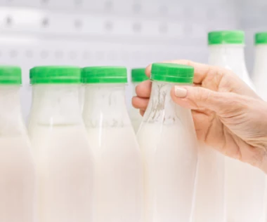 Nie tylko kefir i kapusta kiszona. W tych produktach też znajdziesz probiotyki