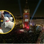 Wielka Orkiestra Świątecznej Pomocy