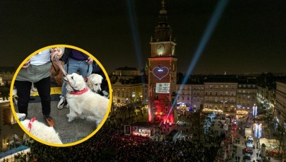 Nie tylko muzyka! Co przygotował Kraków na 34. finał WOŚP?