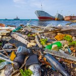 Nie tylko Wielka Plama Śmieci. Plastik dotarł już nawet tam