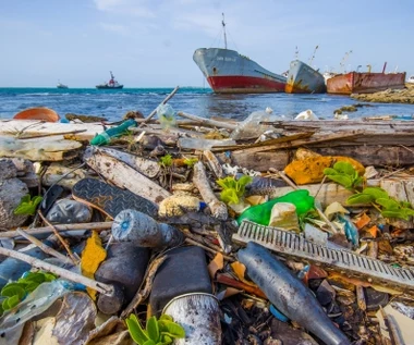 Nie tylko Wielka Plama Śmieci. Plastik dotarł już nawet tam