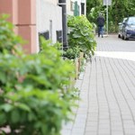 Nie tylko zimą musisz dbać o chodnik przed domem. Oto co musisz robić latem