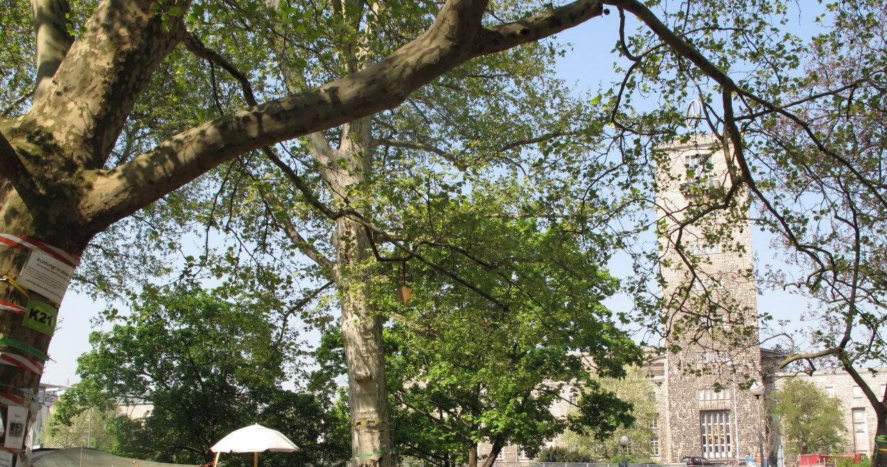 Nie ustają protesty mieszkańców Stuttgartu ws. nowego dworca