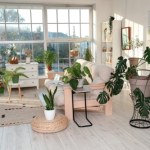 Nie ustawiaj kwiatów na parapecie. Ten sposób jest lepszy i modniejszy