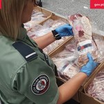 Nie uwierzysz, co celnicy znaleźli w walizkach turystów z Bliskiego Wschodu