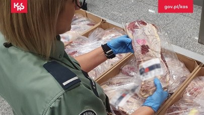 Nie uwierzysz, co celnicy znaleźli w walizkach turystów z Bliskiego Wschodu