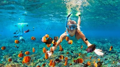 Nie uwierzysz, co turyści zostawiają po sobie w oceanie. Szokujące odkrycie na Bahamach