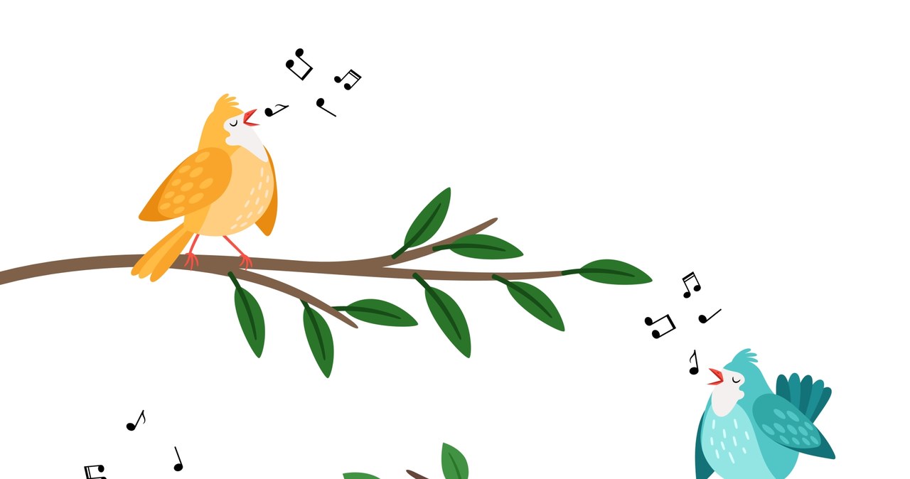 Nie uwierzysz ile gatunków ptaków śpiewa pod oknem każdego ranka. Przekonaj się dzięki aplikacji do ich rozpoznawania! /123RF/PICSEL
