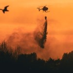 "Nie używaj ognia w lesie". Alert RCB dla ośmiu województw