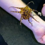 ​Nie wiedzieli, co to jest. Mogli zginąć w straszliwych męczarniach!