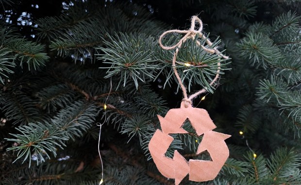 Nie wiesz, co zrobić z choinką po świętach? Jest kilka opcji