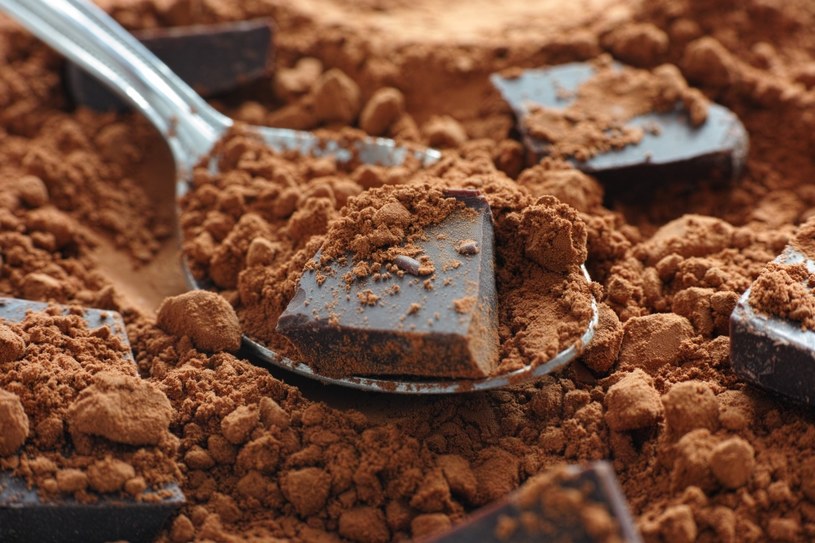 Nie wszyscy mogą spożywać kakao. Sprawdź, dla kogo nie jest najlepszym wyborem /123RF/PICSEL