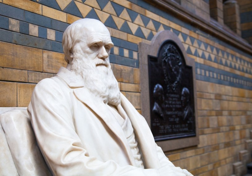 Nie wszyscy wierzą w teorię Karola Darwina /©123RF/PICSEL