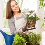 podlewanie Nie wszystkie rośliny lubią podlewanie herbatą. Do tych możesz lać bez obaw