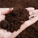 Nie wylewaj po śniadaniu. Przyda ci się do wróżb andrzejkowych bardziej niż wosk