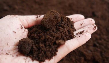 Nie wylewaj po śniadaniu. Przyda ci się do wróżb andrzejkowych bardziej niż wosk