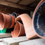 Nie wyrzucaj starych doniczek. Pomogą ci usunąć szkodniki z ogrodu