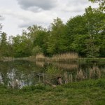 staw Nie żyje 3-latek, który wpadł do przydomowego stawu