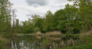 ​Nie żyje 3-latek, który wpadł do przydomowego stawu