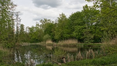 ​Nie żyje 3-latek, który wpadł do przydomowego stawu