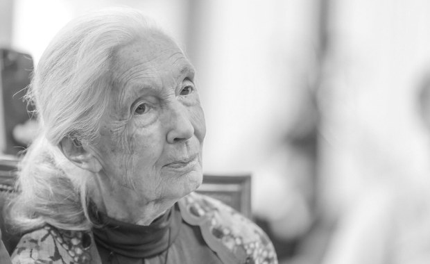 Nie żyje Jane Goodall. Była najwybitniejszą badaczką szympansów