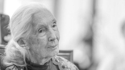 Nie żyje Jane Goodall. Była najwybitniejszą badaczką szympansów