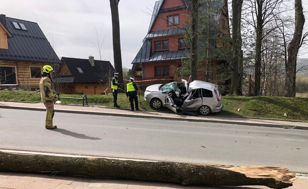 Nie żyje kobieta przygnieciona przez drzewo. Policja apeluje o niewychodzenie z domu