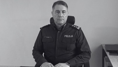 Nie żyje komendant policji w Turku. Jego auto zderzyło się z łosiem