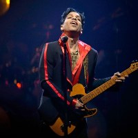 Koncert w Belgii w listopadzie 2011 r.