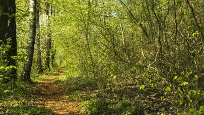 Nie żyje poszukiwana Magdalena P. Ciało znalazł ojciec kobiety 