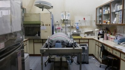 Nie żyje żółwica, która połknęła monety wrzucone do stawu przez turystów