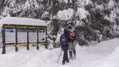 Niebezpieczeństwo nie mija. Ekstremalne warunki w Beskidach i Tatrach