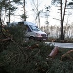 Niebezpieczna pogoda nad Polską. Jak się uchronić przed wichurą?