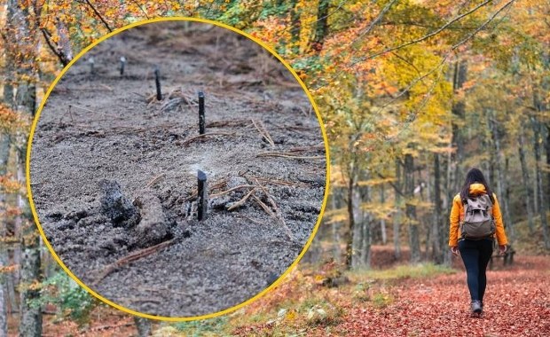 Niebezpieczna pułapka na drodze. Ktoś powbijał metalowe pręty w ziemię 