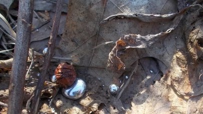 Niebezpieczna zabawa w parku: Dzieci natrafiły na rtęć