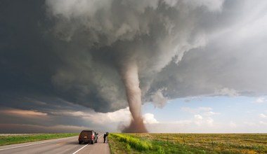 Niebezpieczne piękno