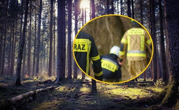 Niebezpieczne znalezisko w lesie pod Poznaniem. Setki litrów rozpuszczalników
