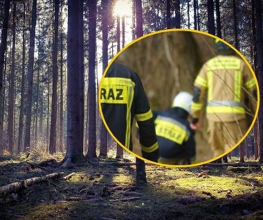 Niebezpieczne znalezisko w lesie pod Poznaniem. Setki litrów rozpuszczalników