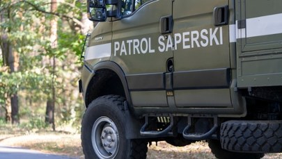 Niebezpieczne znalezisko w zagajniku. Cztery granaty z czasów II wojny światowej 