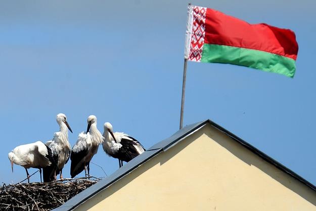 Niebezpiecznie rośnie zadłużenie zagraniczne Białorusi /AFP