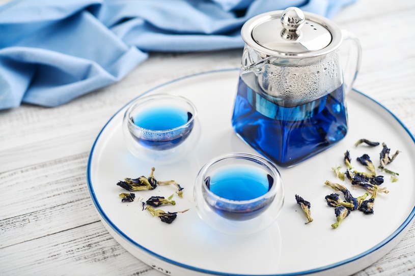 Niebieska herbata ma pozytywny wpływ na zdrowie /123RF/PICSEL