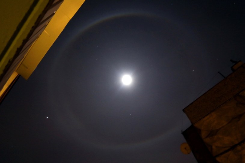 Niebieskawy odcień Księżyca często pojawia się przy okazji wystąpienia "efektu halo", charakterystycznego pierścienia będącego efektem załamaniem światła na kryształkach lodu obecnych w atmosferze. /Dominik Gajda /East News