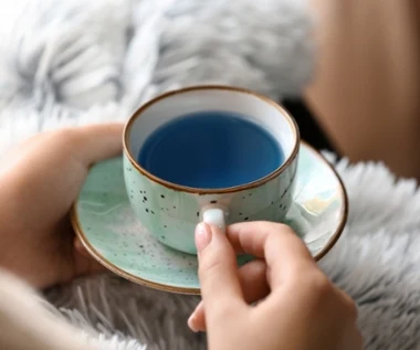 Niebieski eliksir na stres, zmęczenie i pamięć. Co potrafi Butterfly Pea Tea? 