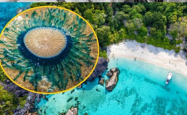 Niebieskie guziki na rajskiej plaży. Wydano ostrzeżenie dla turystów